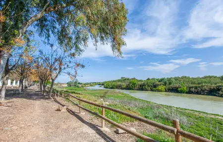 Location Maison 6 personnes à Peñaflor - Photo 26