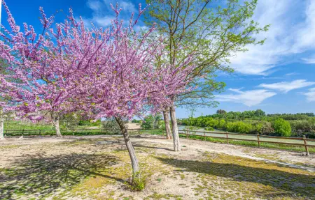 Location Maison 6 personnes à Peñaflor - Photo 27