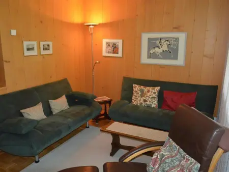 Oberland Nr. 19, Appartement 6 personnes à Gstaad - Photo 5