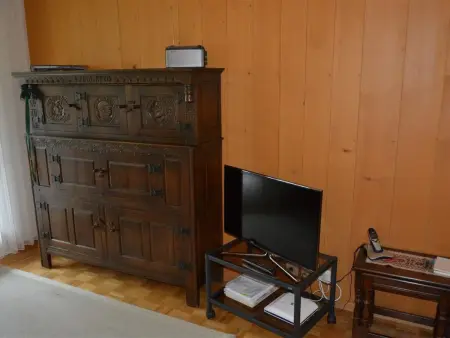Oberland Nr. 19, Appartement 6 personnes à Gstaad - Photo 6