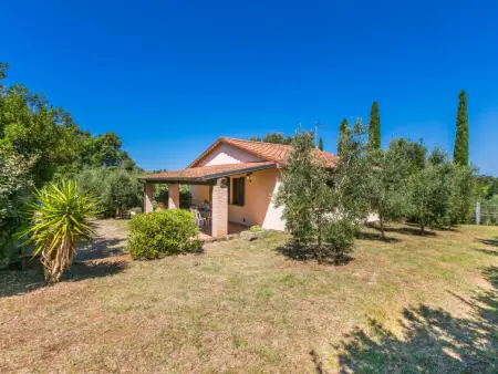 Oliveta 2, Maison 6 personnes à Cecina - Photo 3