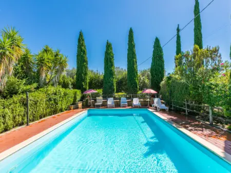 Oliveta 2, Maison 6 personnes à Cecina - Photo 5