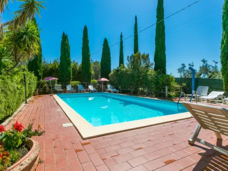 Oliveta 2, Maison 6 personnes à Cecina - Photo 30