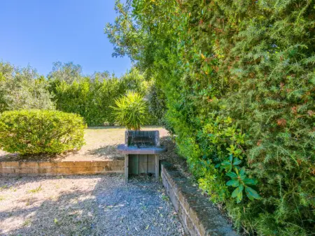 Oliveta 2, Maison 6 personnes à Cecina - Photo 33