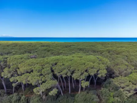 Oliveta 2, Maison 6 personnes à Cecina - Photo 42