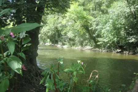 Villa Belle Epoque, Superbe maison de vacances près de la forêt à Hamoir - Photo 31