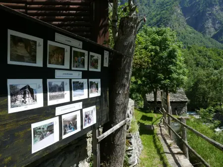 Rustico Fortuna, Chalet 5 personnes à Malvaglia - Photo 30