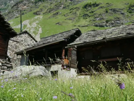 Rustico Fortuna, Chalet 5 personnes à Malvaglia - Photo 33