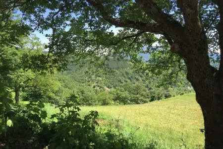 Eolo, Ferme à Apecchio avec Vue sur Montagnes - Photo 19