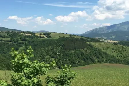 Seriola, Chalet à Apecchio avec Piscine et Vue - Photo 29