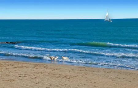 Location Maison 5 personnes à Ragusa - Photo 41