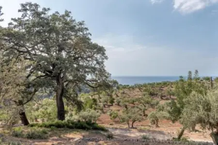 Camping del Mar BUNGALOW MEDITERRANI, Bungalow 4 personnes à Barcelona - Photo 26