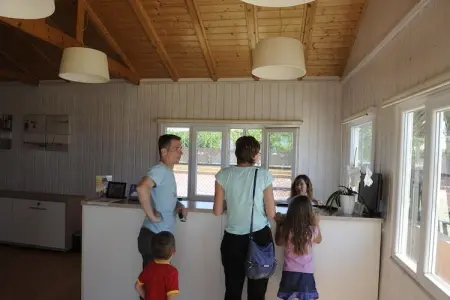 Camping del Mar BUNGALOW PREMIUM, Maison 6 personnes à Barcelona - Photo 8