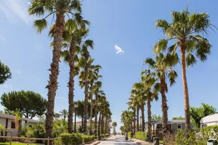 CAMPING ESTIVAL VENDRELL PLATJA BUNGALOW 4 STANDARD - Photo 24