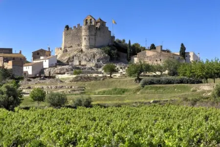 CAMPING ESTIVAL VENDRELL PLATJA MOBILE HOME 4/5, Maison 4 personnes à Tarragona - Photo 35