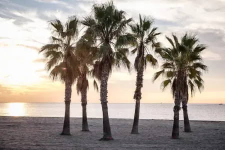 CAMPING ESTIVAL VENDRELL PLATJA TENT GRAND SAFARI GLAMPING - Photo 29