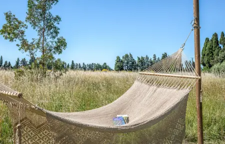 Location Maison 10 personnes à Travaillan - Photo 8