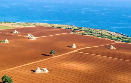 Tea Tree Apartments 1, Appartement 2 personnes à Castellana Grotte - Photo 5