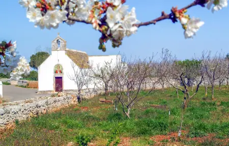 Tea Tree Apartments 1, Appartement 2 personnes à Castellana Grotte - Photo 17