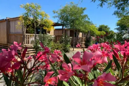 Els Pins- Mobile-Home Plus 3, Maison 6 personnes à Malgrat de Mar - Photo 14