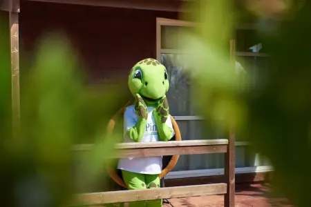 Els Pins- Bungalow Confort, Maison 5 personnes à Malgrat de Mar - Photo 16