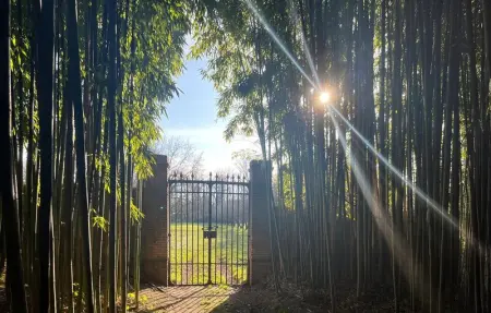 Location Maison 14 personnes à Saint Ambroix - Photo 7