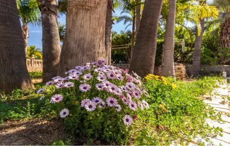 Location Maison 10 personnes à Alhaurin de la Torre - Photo 29