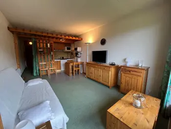 Appartement à Villard de Lans,Studio cabine aux pieds des pistes avec balcon à Villard-de-Lans FR-1-761-43 N°1013807