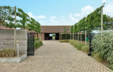 Location Maison 10 personnes à Poperinge - Photo 19