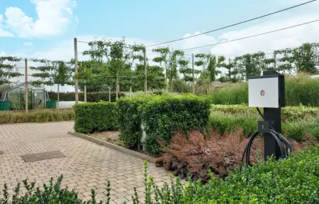 Location Maison 10 personnes à Poperinge - Photo 22