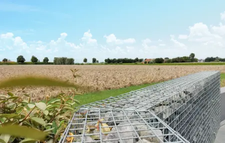 Location Maison 10 personnes à Poperinge - Photo 23