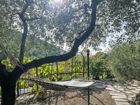 Giuliano, Appartement 6 personnes à Dolcedo - Photo 25