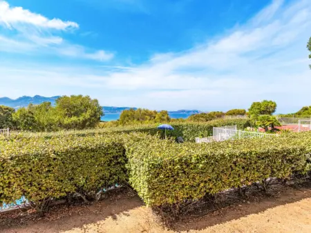 Giulia I, Appartement 3 personnes à Lumio - Photo 17