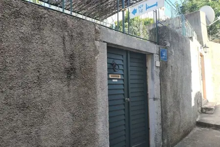 Apartment Saul Cavtat  - One Bedroom Apartment with Terrace and Sea View - Photo 7