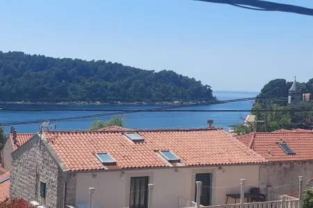Apartment Saul Cavtat  - One Bedroom Apartment with Terrace and Sea View - Photo 12