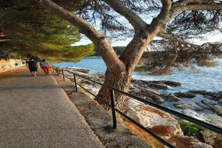 Apartment Saul Cavtat  - One Bedroom Apartment with Terrace and Sea View - Photo 18