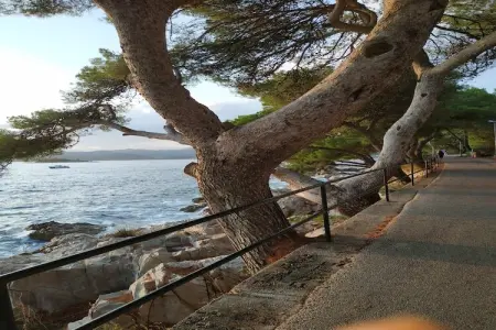 Apartment Saul Cavtat  - One Bedroom Apartment with Terrace and Sea View - Photo 19