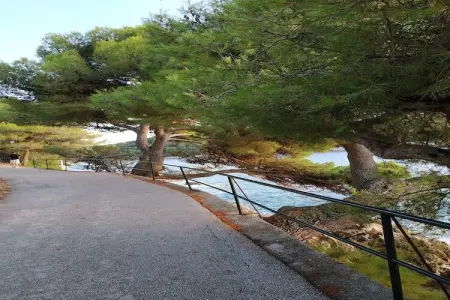 Apartment Saul Cavtat  - One Bedroom Apartment with Terrace and Sea View - Photo 20