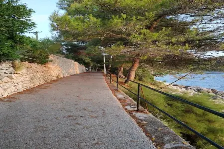 Apartment Saul Cavtat  - One Bedroom Apartment with Terrace and Sea View - Photo 21