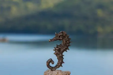 Apartments Bruna Lastovo-Standard One Bedroom Apartment with Balcony and Sea View-Crveni - Photo 5