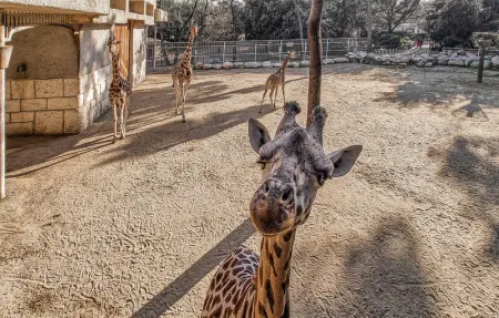 Location Appartement 4 personnes à Médis - Photo 17