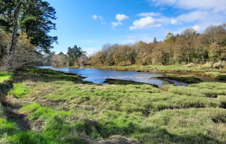 Location Maison 8 personnes à Gouesnach - Photo 29