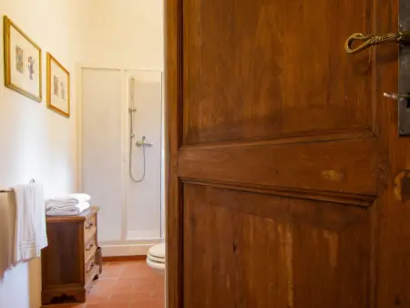 Mattonai, Gite 9 personnes à Palaia - Photo 28