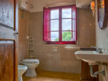 Mattonai, Gite 9 personnes à Palaia - Photo 30