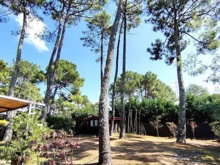 Villa rénovée avec jardin, terrasse, clim et WiFi à Lège-Cap-Ferret - Photo 5