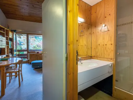 Duplex 4 pièces à 20m des pistes, animaux admis, Crève Coeur - Photo 10