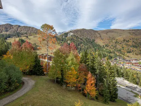 Duplex 4 pièces à 20m des pistes, animaux admis, Crève Coeur - Photo 13