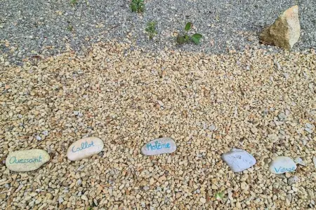 Maison de pêcheur Plougoulm, Maison 4 personnes à Plougoulm - Photo 22