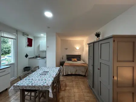 Studio idéal entre centre-ville et Thermes avec jardin et WIFI - Photo 6