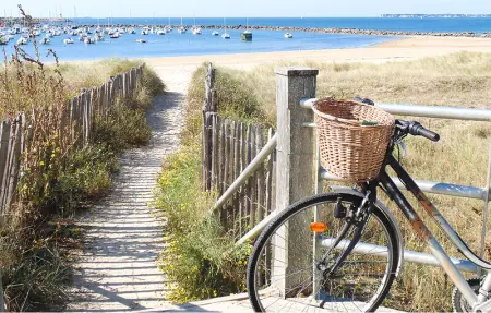 Location Maison 8 personnes à Nantes - Photo 8